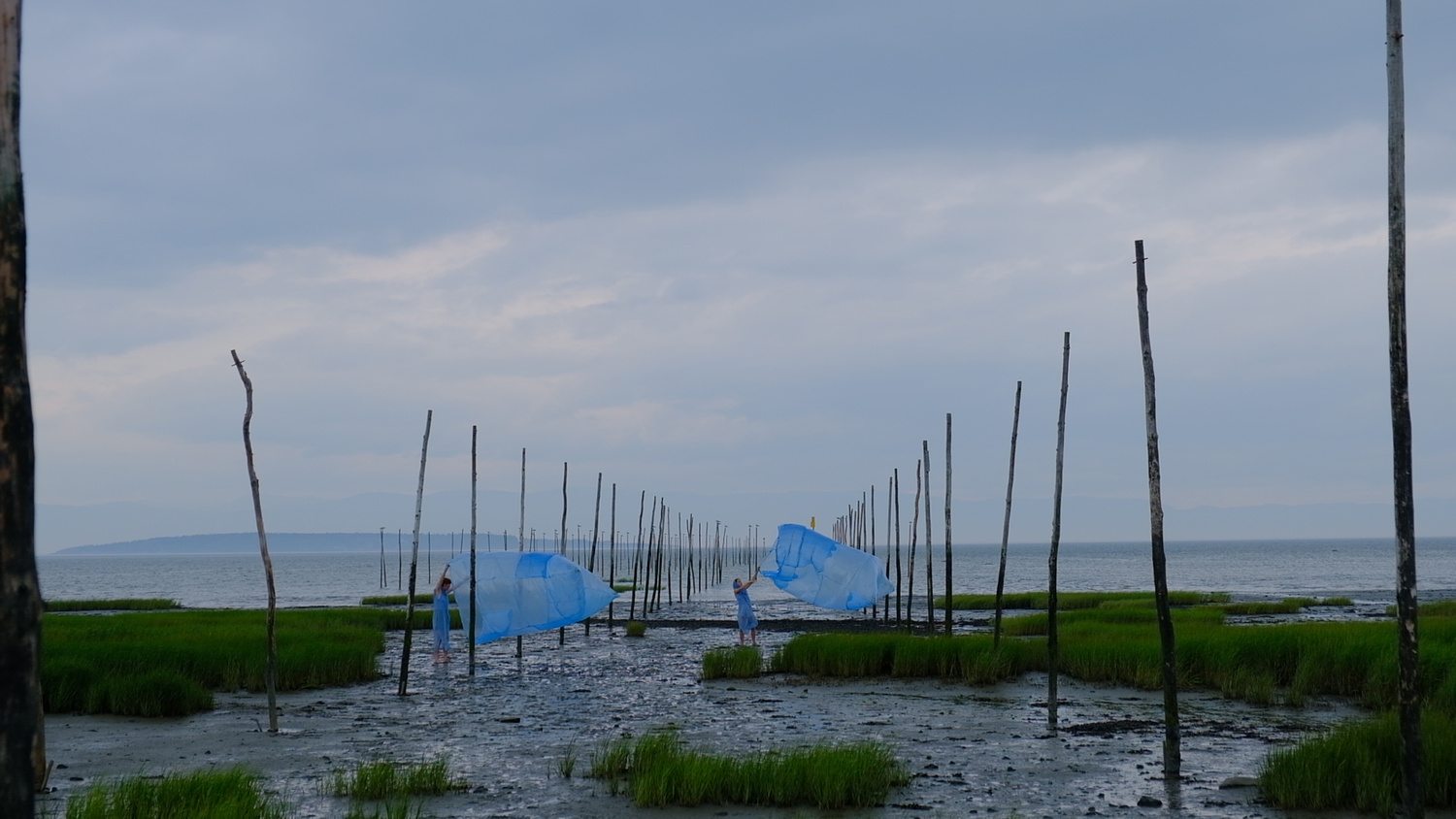 Two blue cloaked women are standing in a marsh by the waters edge, they are each holding blue plastic bags like sails to catch the wind.