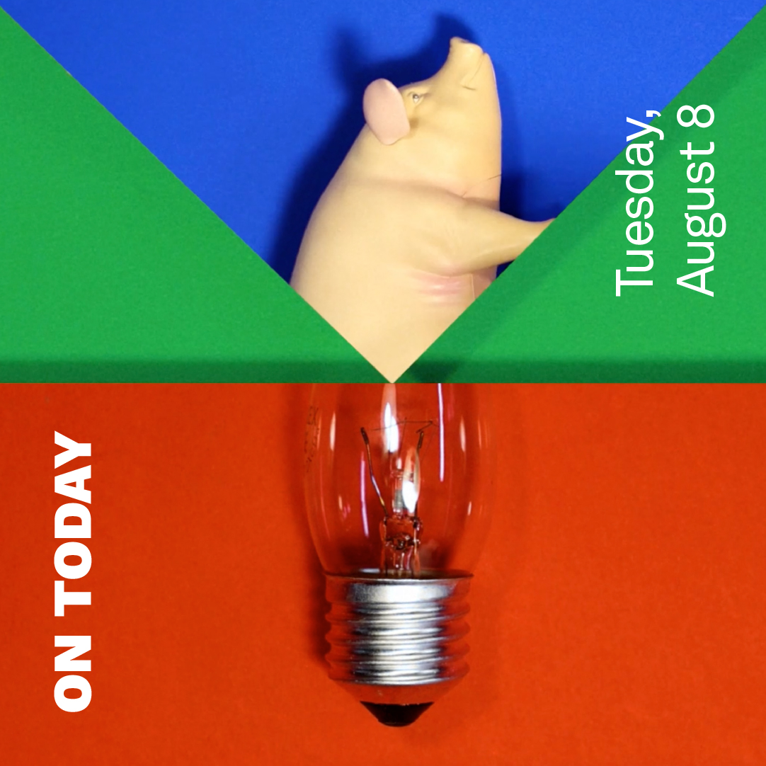 Half of a blue triangle and half of a red square meet together in front of a green background. Half of a plastic toy pig appears in the triangle, and half of a light bulb appears in the square. Both objects match together. The words "On Today" and "Tuesday, August 8" appear in white text.