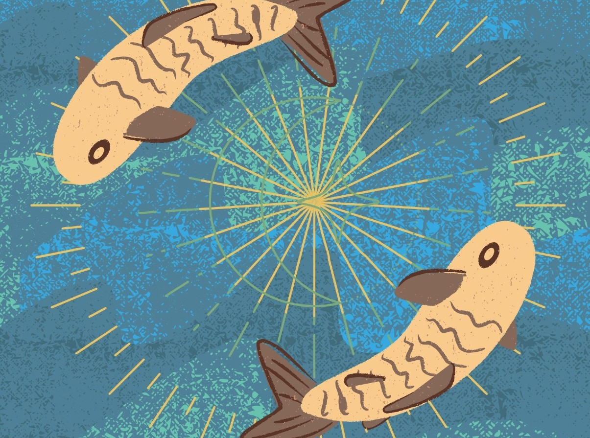 An illustraion of two fish circling each other agains a blue background