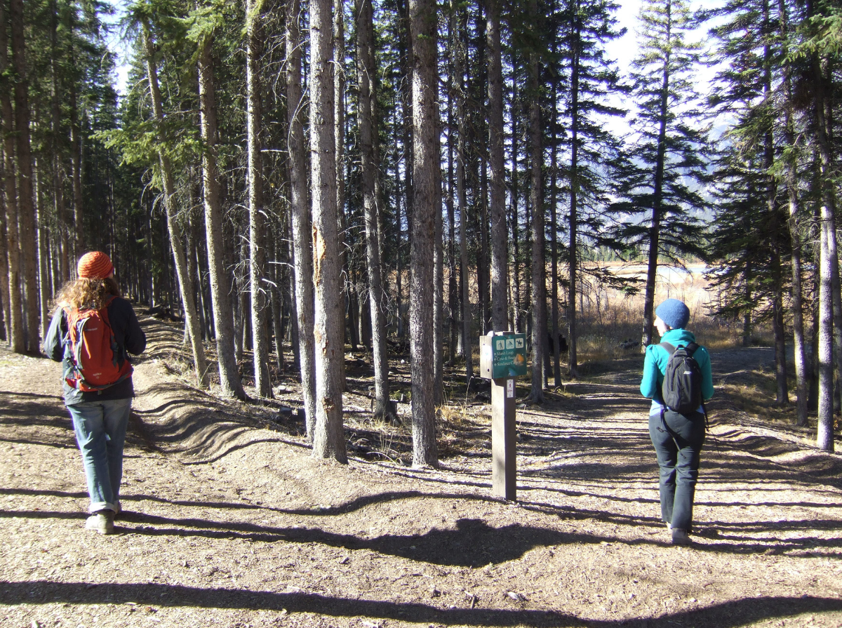 Sorrel and Laura stand on two different dirt pathways in front of a smattering of trees, with their backs facing the camera. On the left, Sorrel wears a red hat, blue jacket, red backpack, blue jeans, and brown boots. On the right, Laura wears a blue hat, teal jacket, black backpack, navy pants, and brown shoes. Beside Laura, there is a wooden post with a green sign stating directions. In the distance, there is a lake surrounded by tall brown grass. Above them, the sky is light blue with no visible clouds.