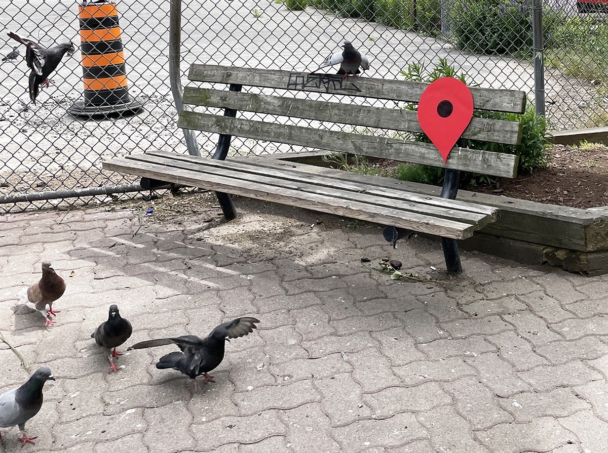 Red Google Maps pin on a wooden bench surrounded by pigeons